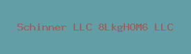Schinner LLC 8LkgHOM6 LLC Logo